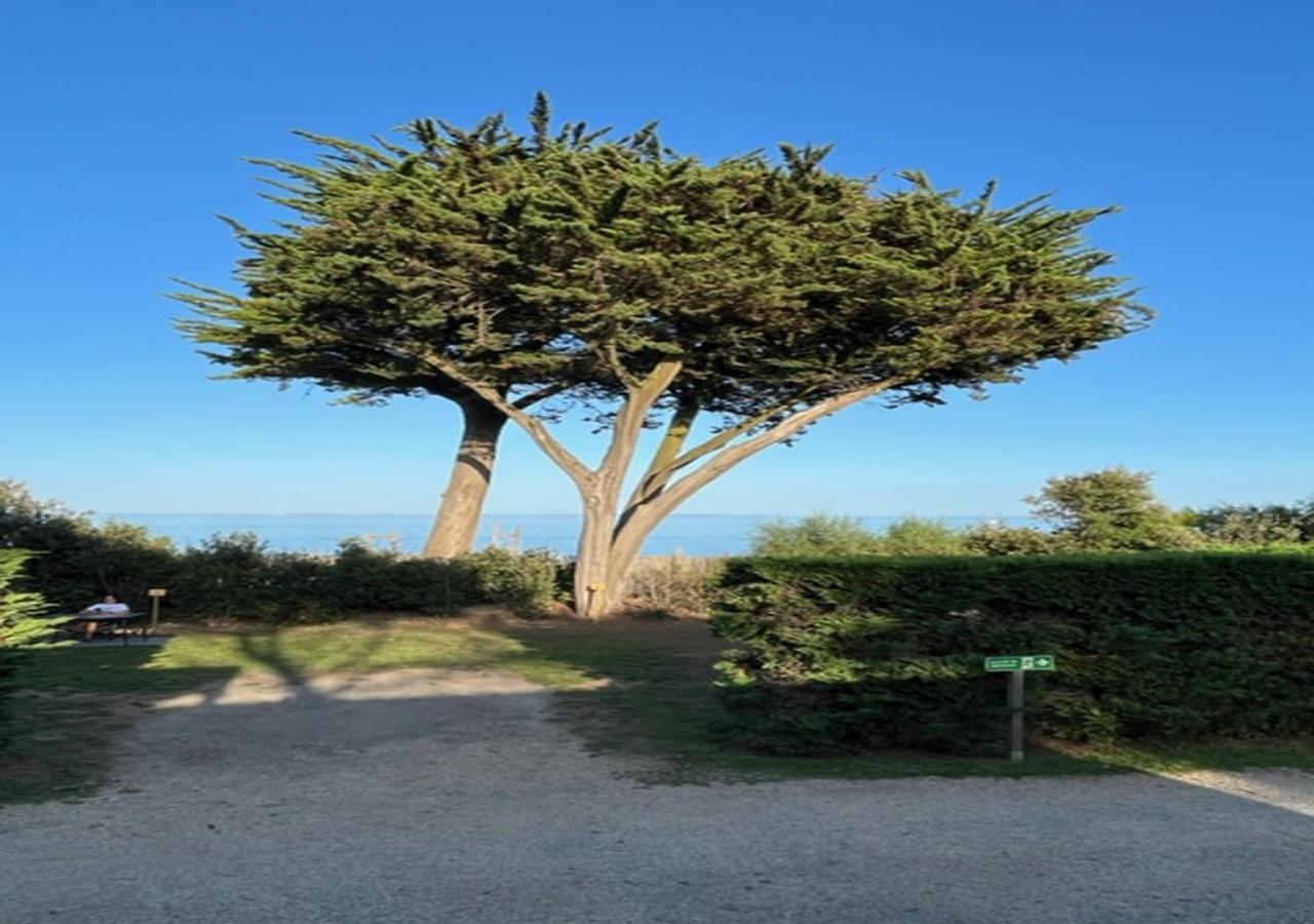 Mobilhomes Quiberon Camping Conguel - Bord De Mer Exteriör bild